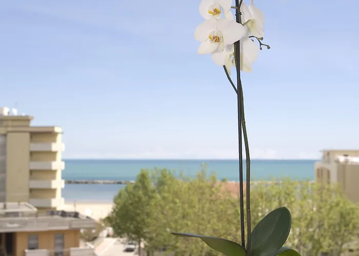 Tiffany&resort Hotel 3*